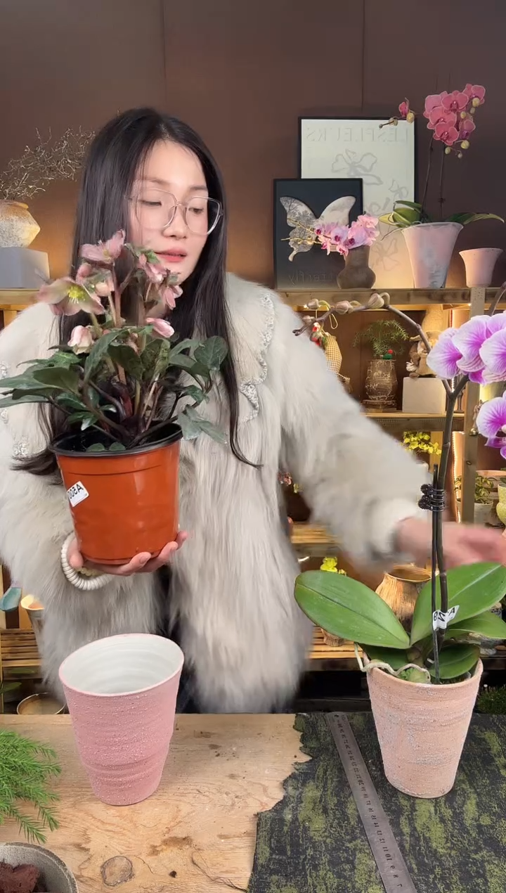 以实际为准ˊ*圆500铁筷子育苗盆