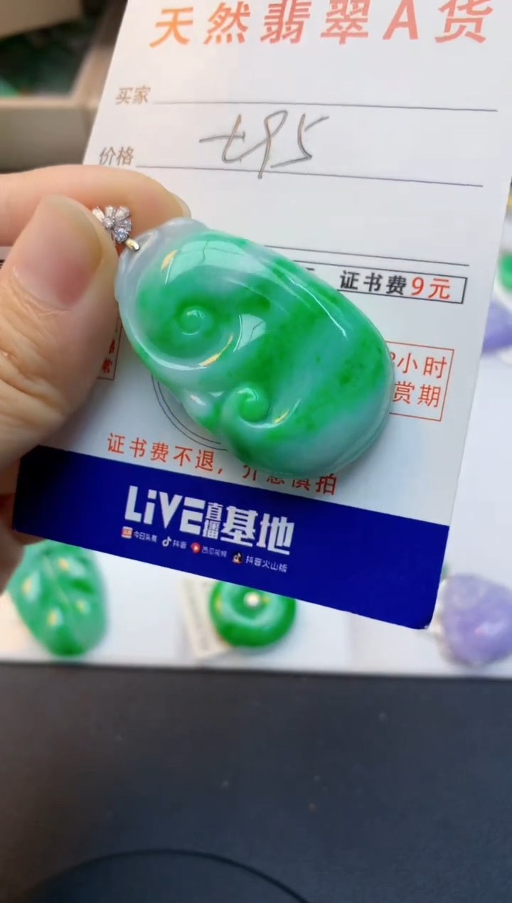 颈饰18K金镶嵌翡翠天然缅甸A货翡翠百元以上9元证书费自理