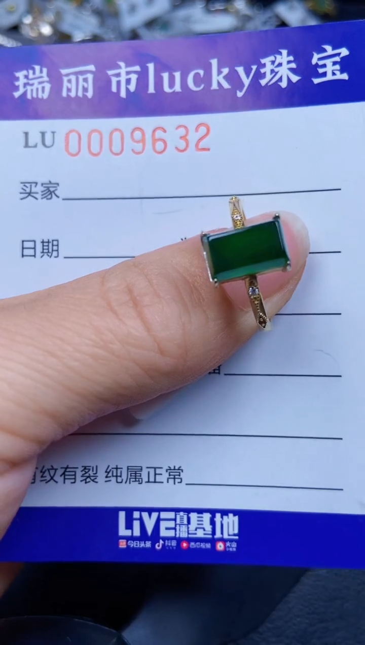 【闪购商品】翡翠颈饰银S925镶嵌9632