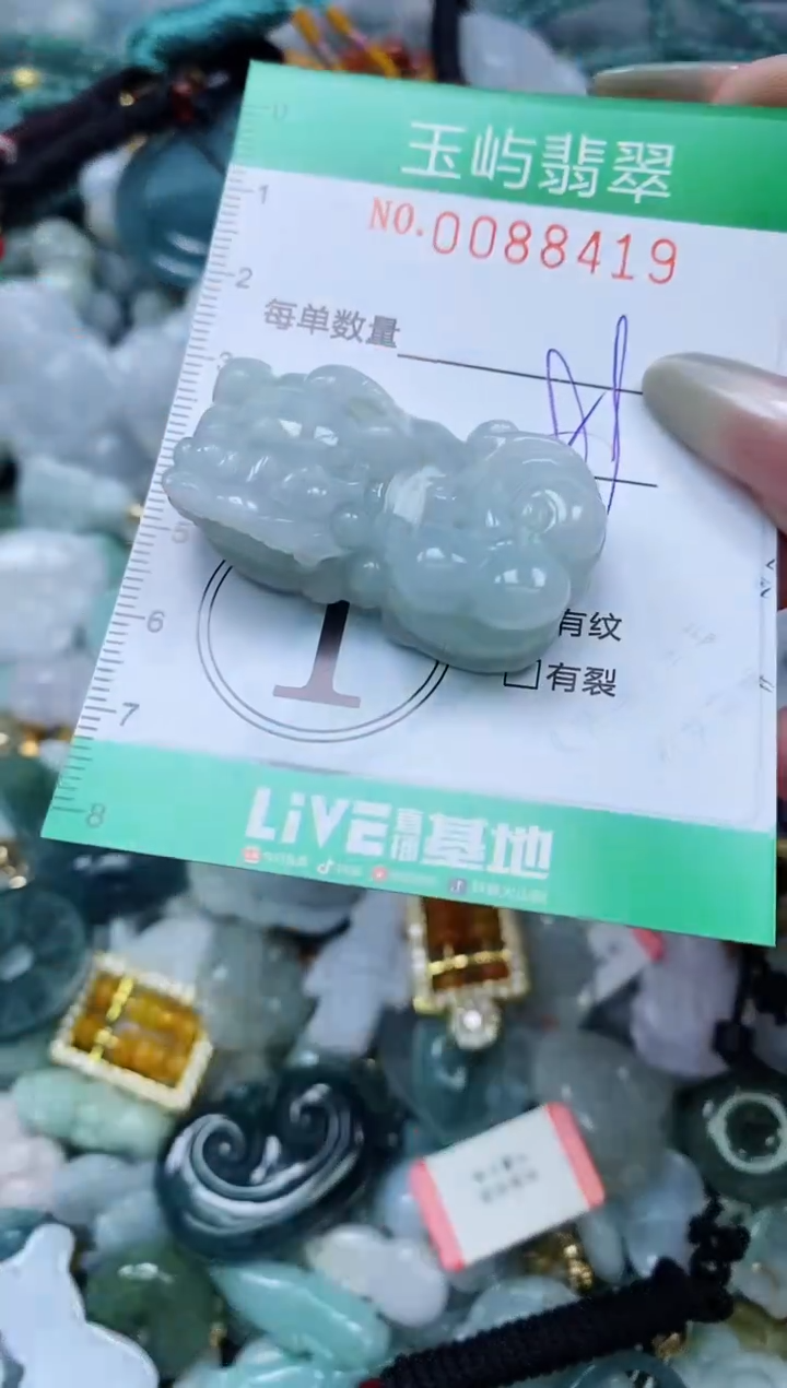 【闪购商品】翡翠颈饰未镶嵌闪购0088419