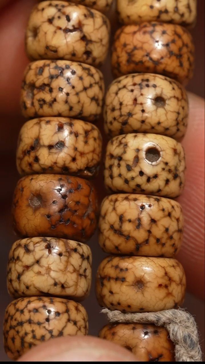 【闪购商品】冲赛康胡子哥，藏传念珠185