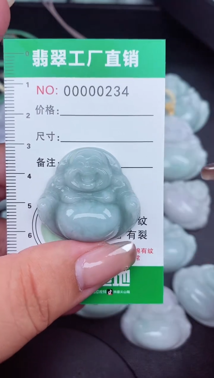 翡翠未镶嵌颈饰缅甸天然A货翡翠0234