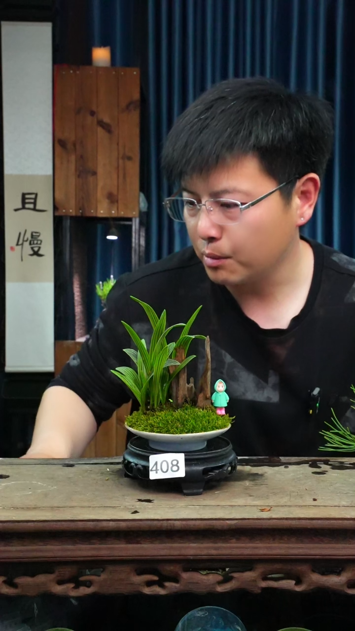 苔藓微景观408号