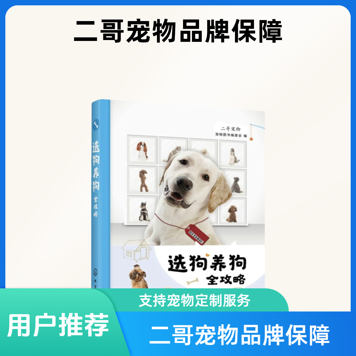 二哥宠物（定制类1）ppt
