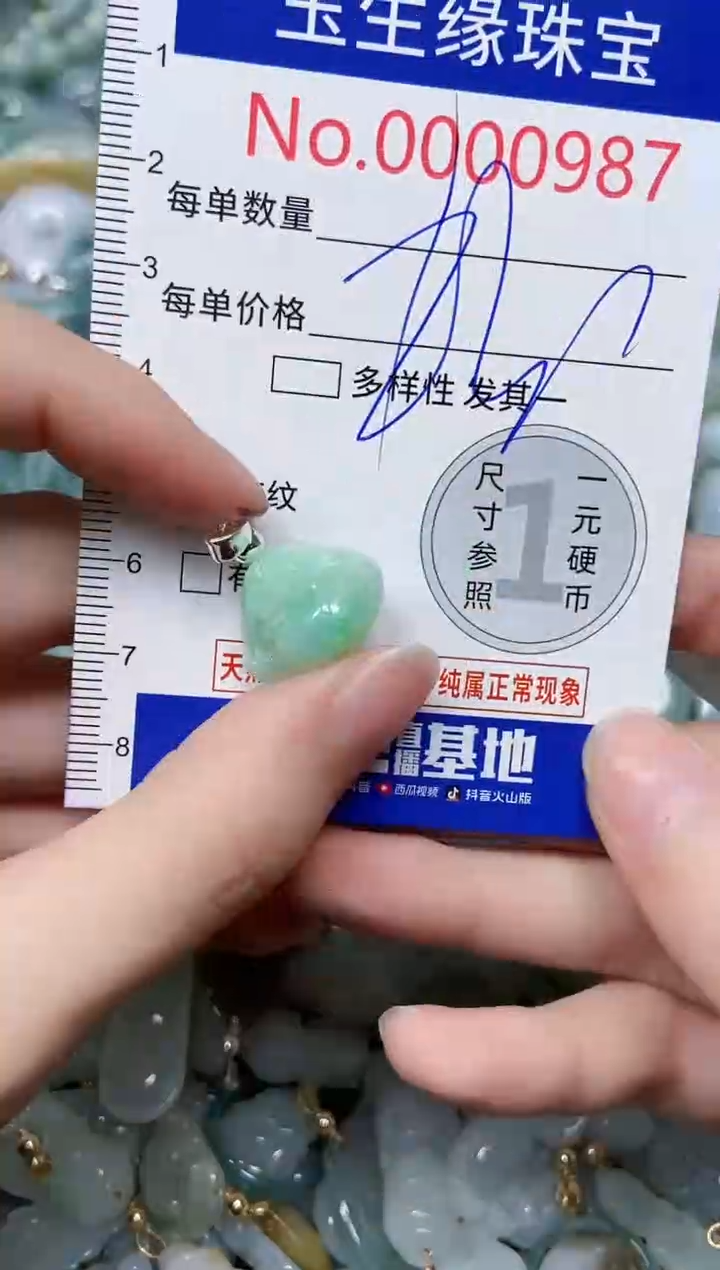【闪购商品】翡翠颈饰未镶嵌闪购0000987