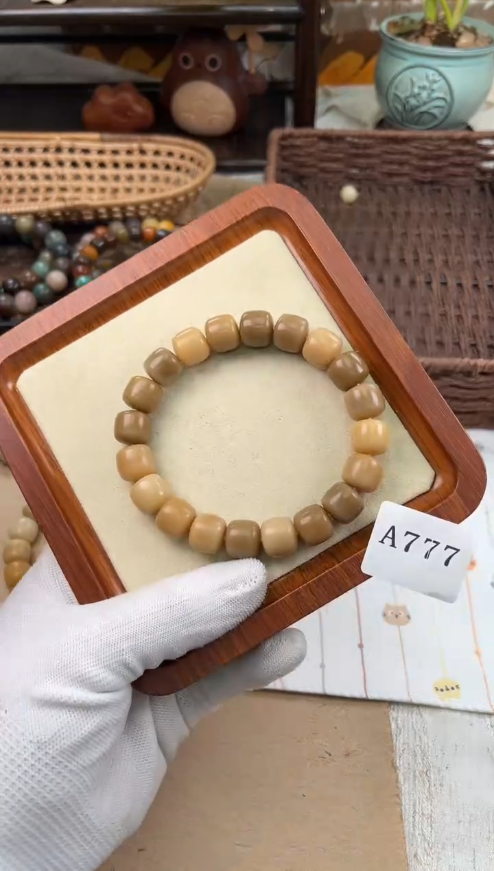 手串菩提根/象牙果a777 卡13 干磨海子