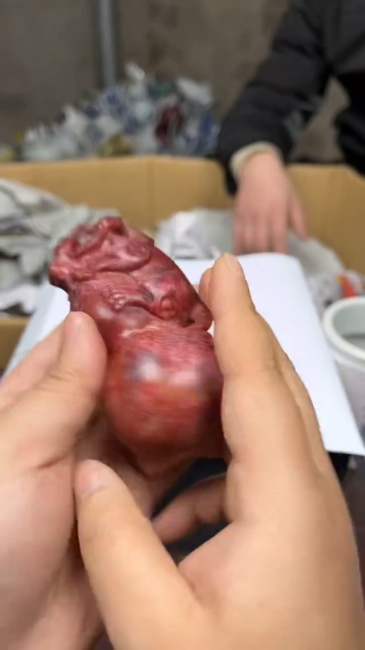 【闪购商品】摆件景德镇陶瓷艺术摆件