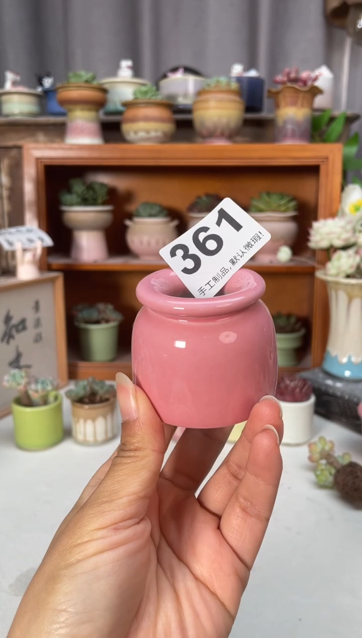 瓷片361小芳直播编号