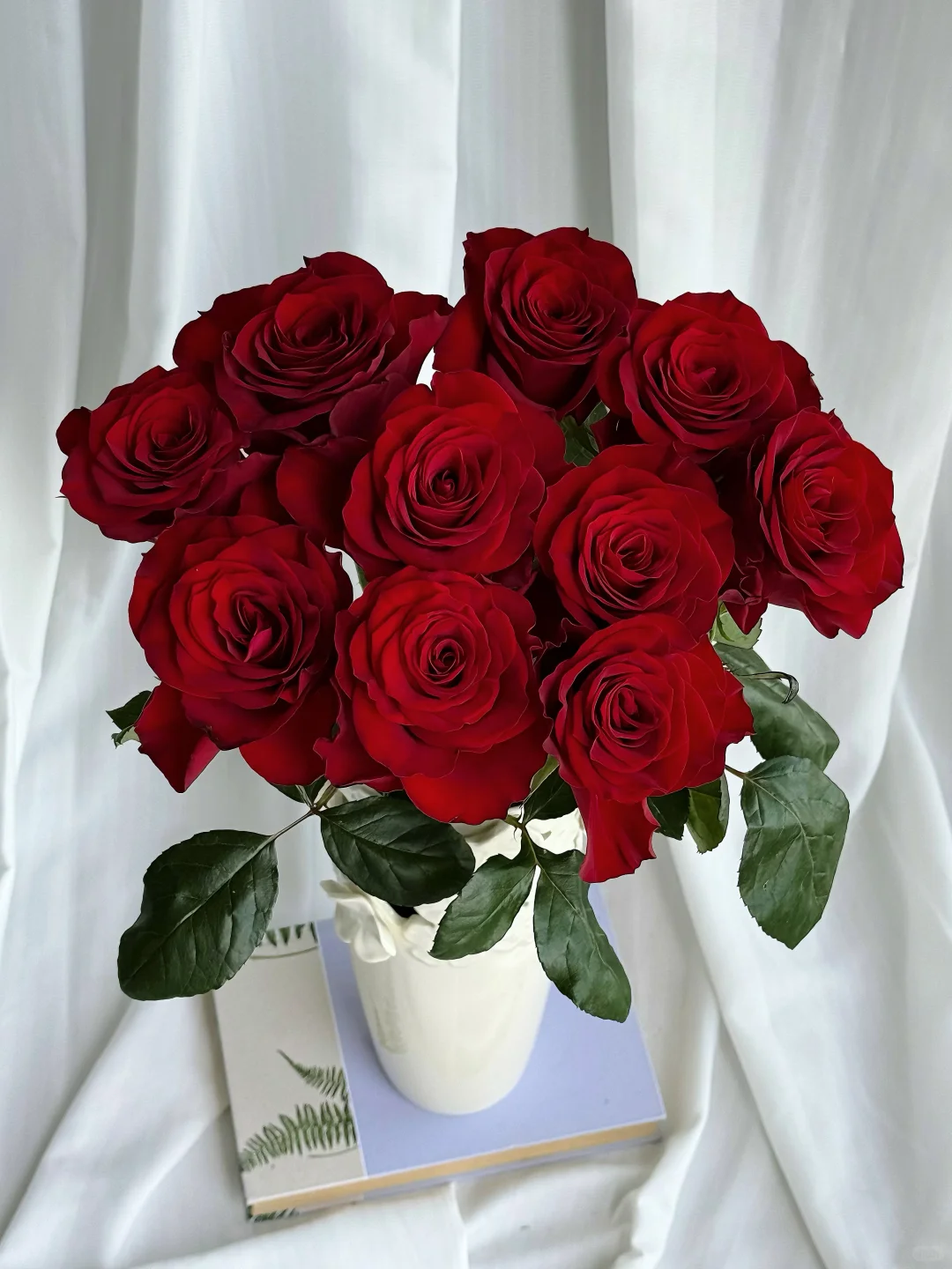 【高原红玫瑰10支】全场鲜花任意两单送配草、三单送花瓶