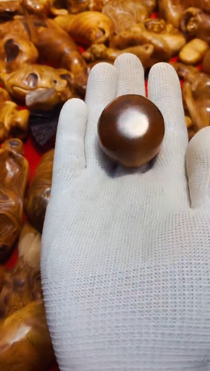 【闪购商品】柏木30崖柏崖柏崖柏