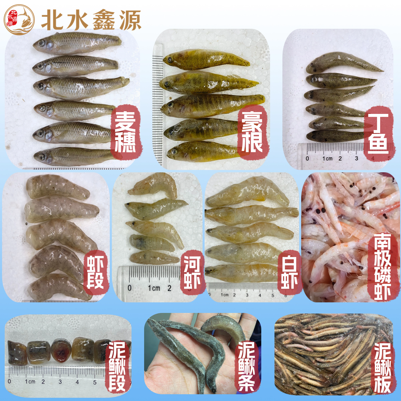 【冷冻鱼食定做链接】