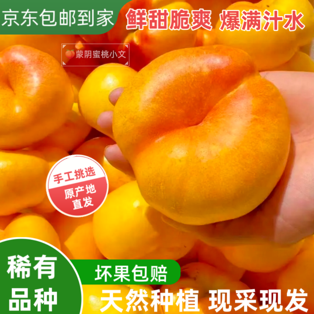 蒙阴蜜桃山东蒙阴蜜桃彩虹蟠桃 全新品种油蟠7号  轻微瑕疵果
