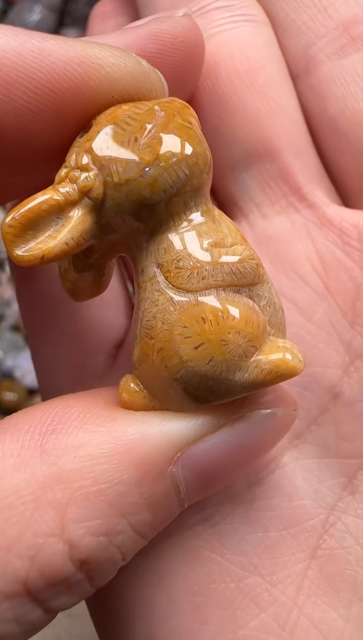 【闪购商品】硅化珊瑚（珊瑚玉）颈饰未镶嵌112