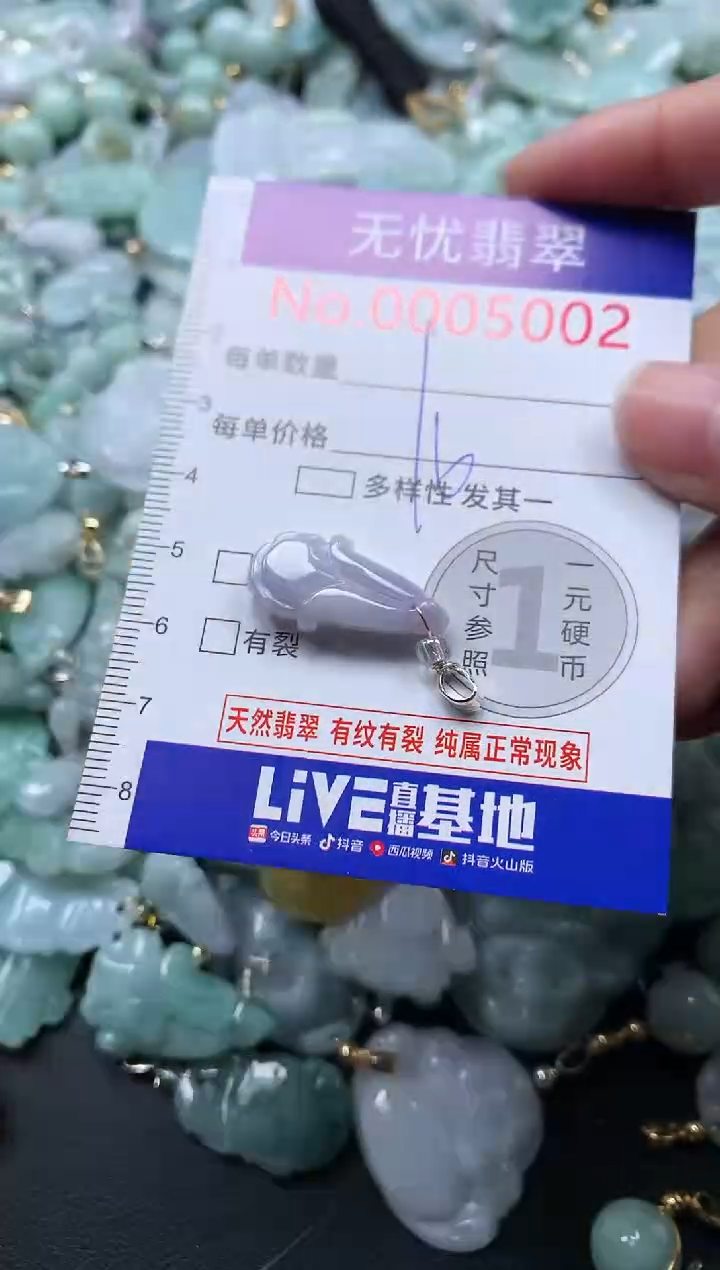 颈饰未镶嵌翡翠5002