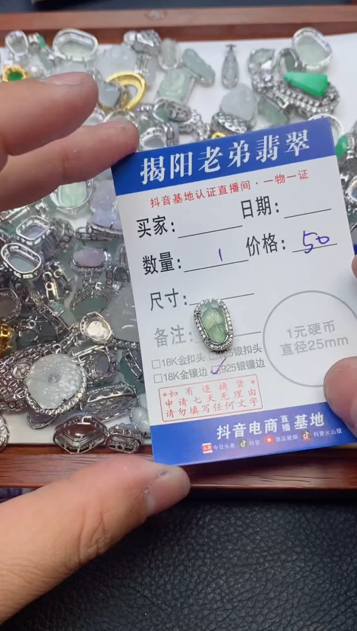 【闪购商品】翡翠颈饰银S925镶嵌多样性发其中一件