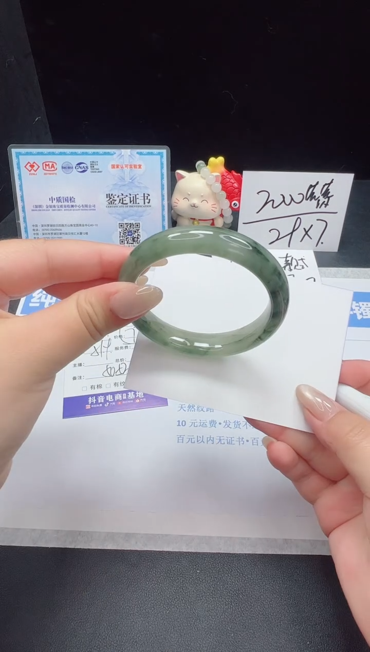 石英质玉未镶嵌手镯80--51.9 天山翠