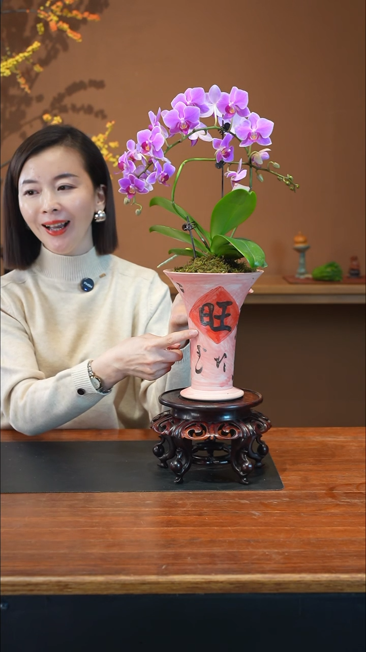 全部花朵粉珠帘旺旺盆盆景盆景盆景