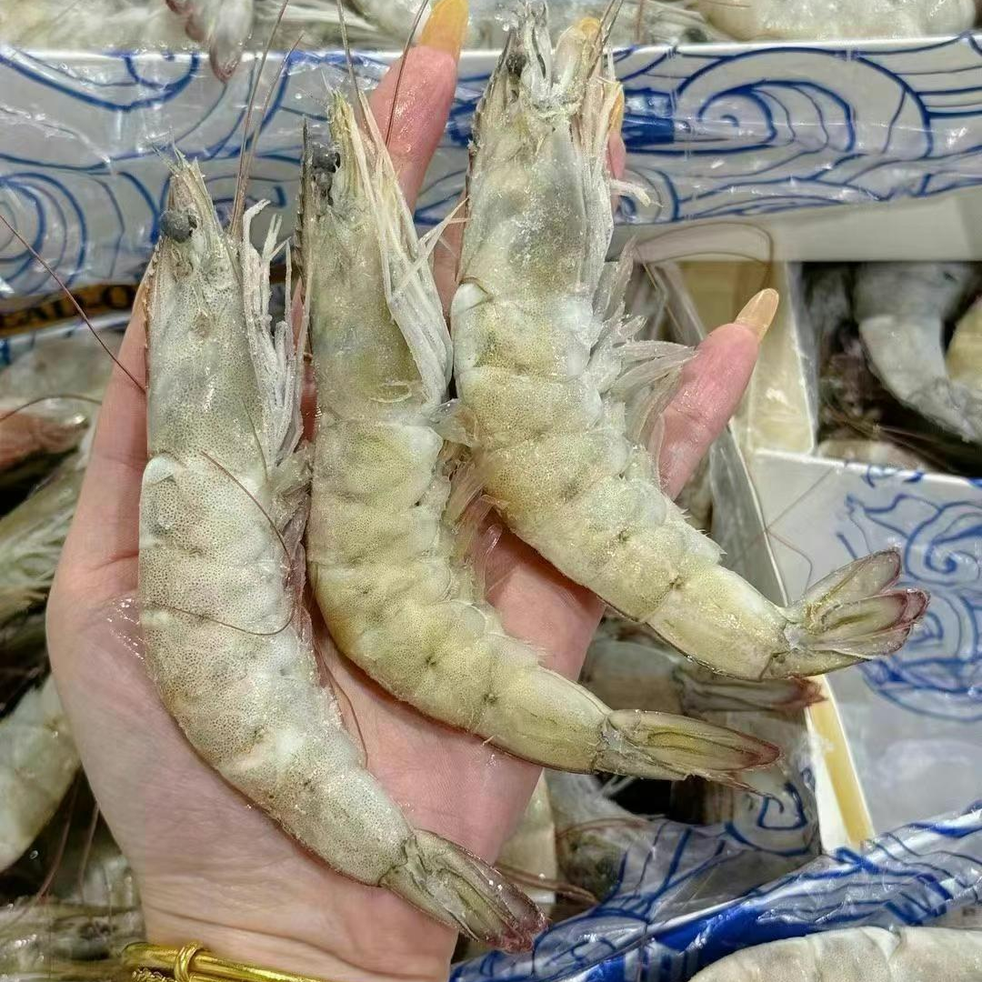 【张张优选 王牌盐冻虾】鲜活急冻 正品厄瓜多尔盐冻虾净重3斤