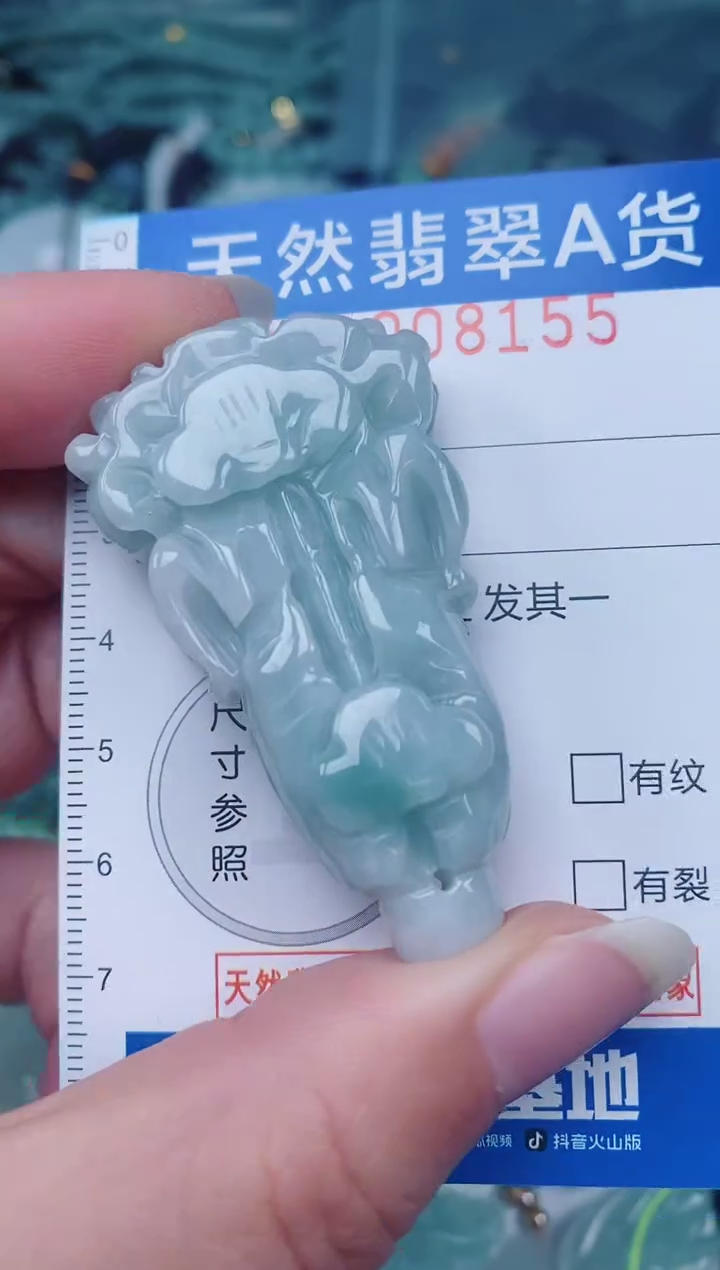 颈饰未镶嵌翡翠00008155