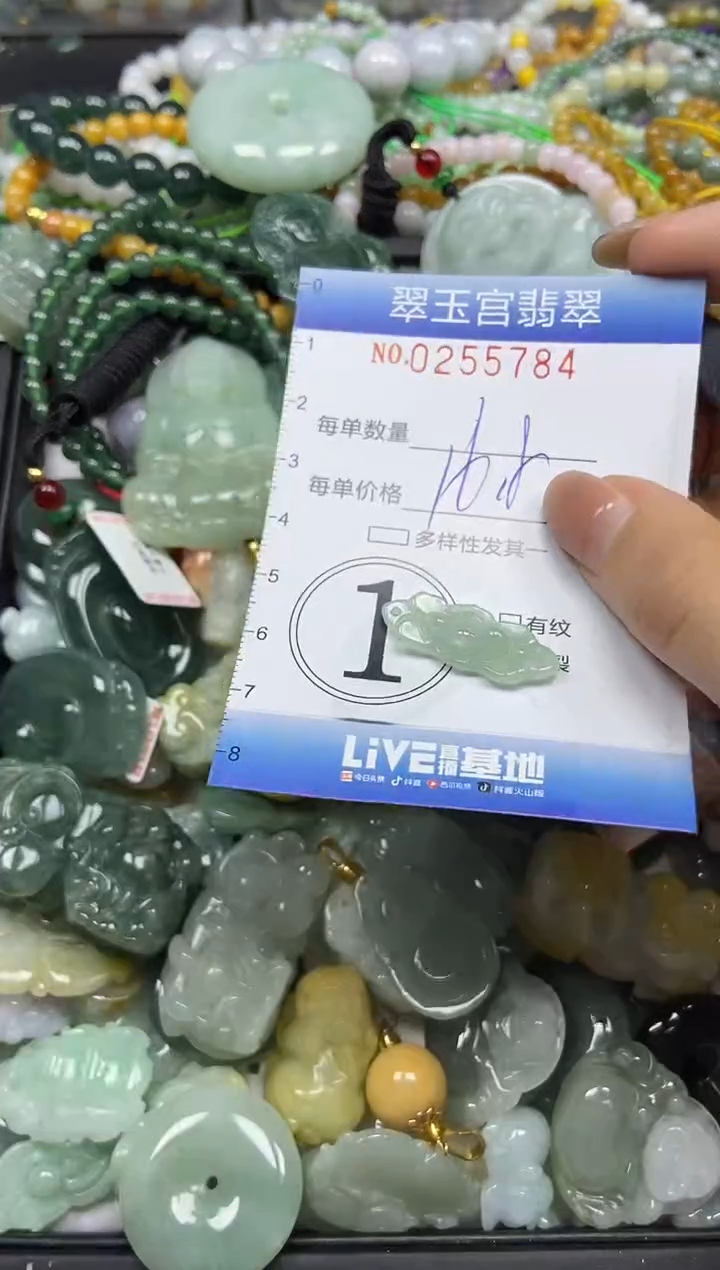 颈饰未镶嵌翡翠闪购C0255784