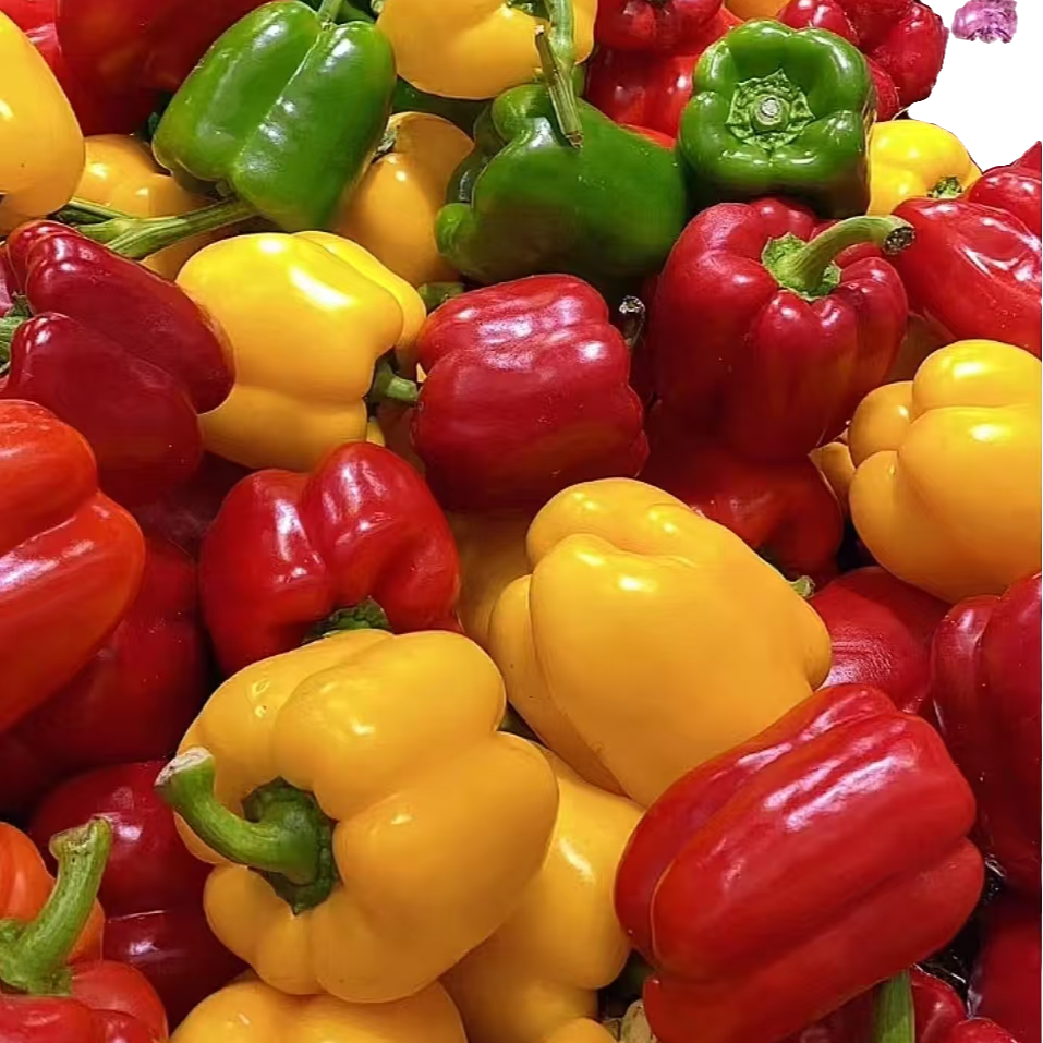 山东寿光高品质水果彩椒3斤装