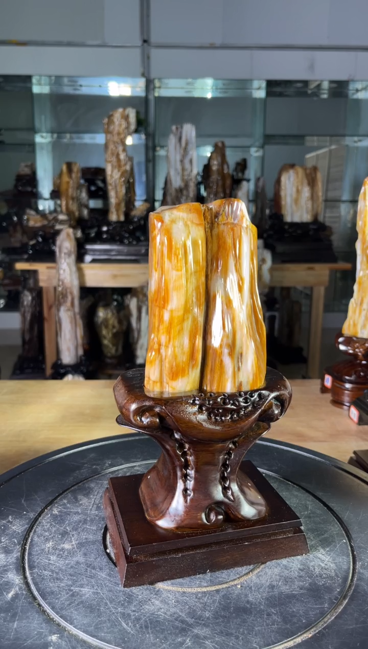 【闪购商品】硅化玉珠宝奇石未镶嵌1