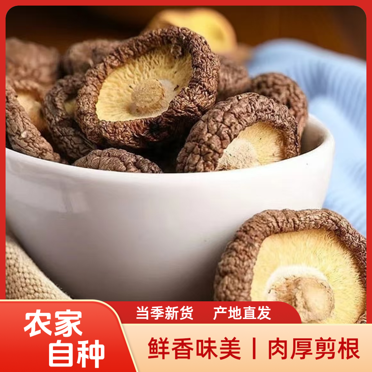 高山椴木小香菇干货农家特产肉厚剪根新鲜煲汤炒菜无干燥剂