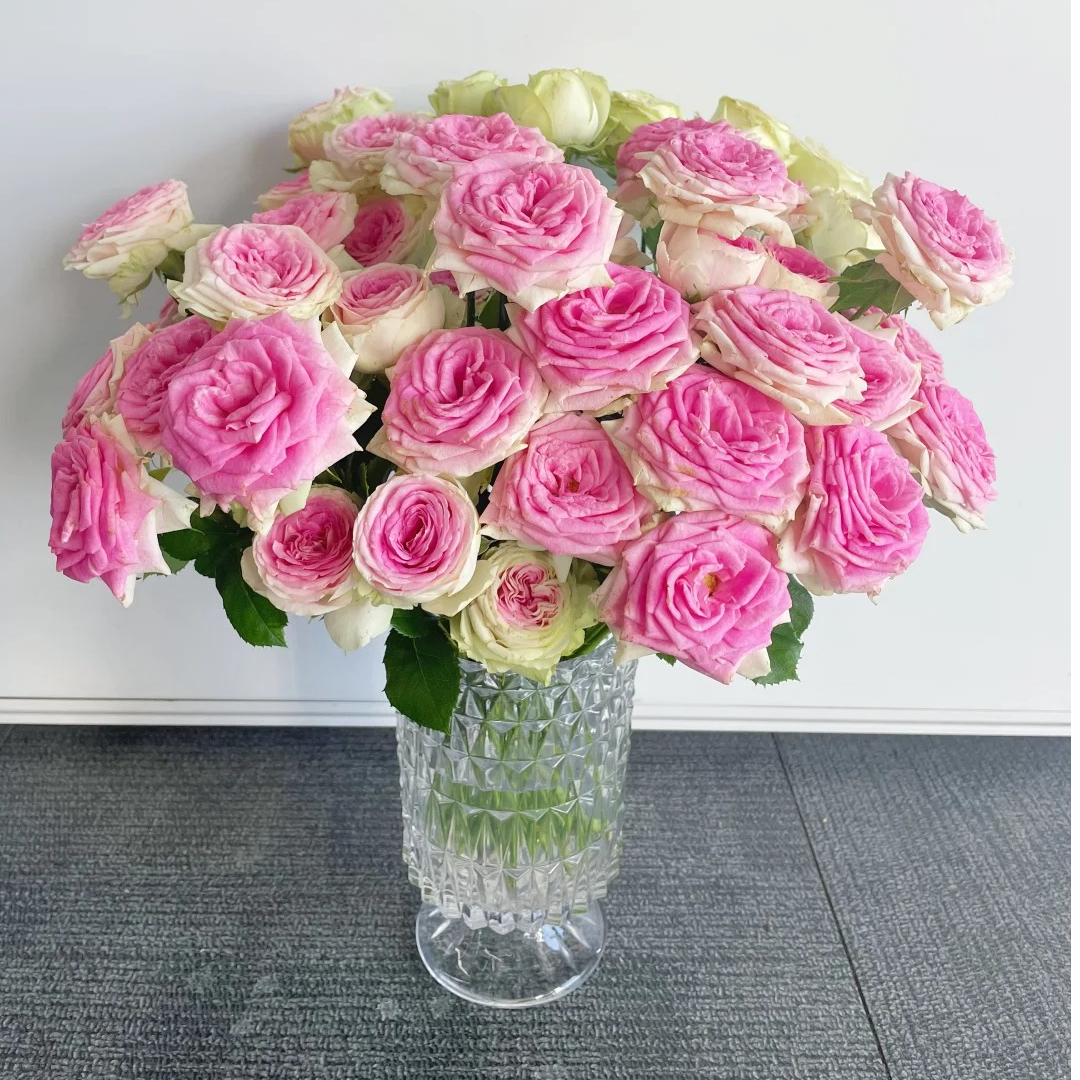 【源头优选】冰淇淋多头玫瑰/元旦预热 鲜花基地任意2单鲜花包邮