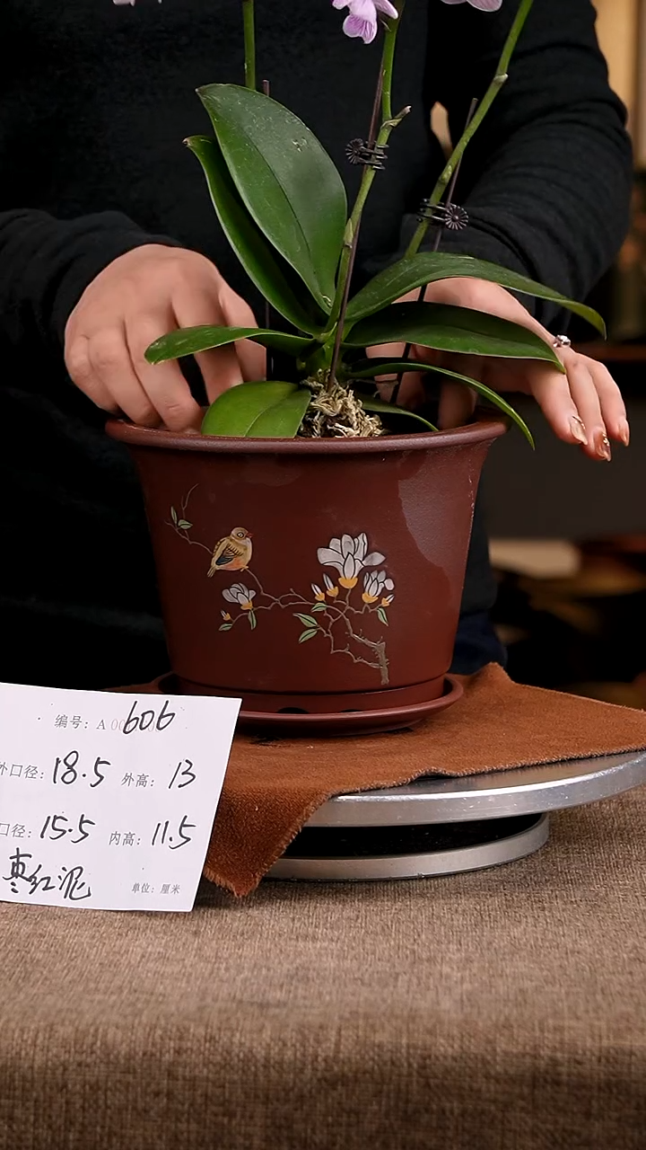 紫砂花盆花卉工艺606+z