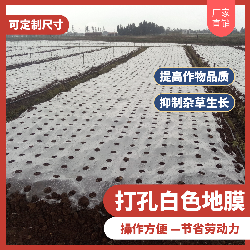 打孔白色透明地膜塑料膜保温保湿蔬菜花生种植专用农膜