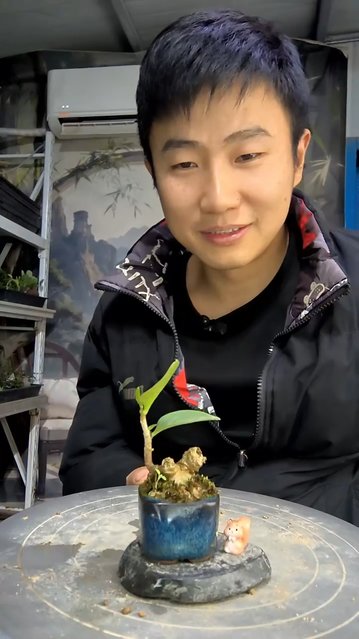 烧****子中青园艺一物一拍花495