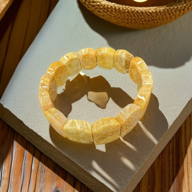 【百世璀璨 尽耀光芒】九品龙血参手排B93