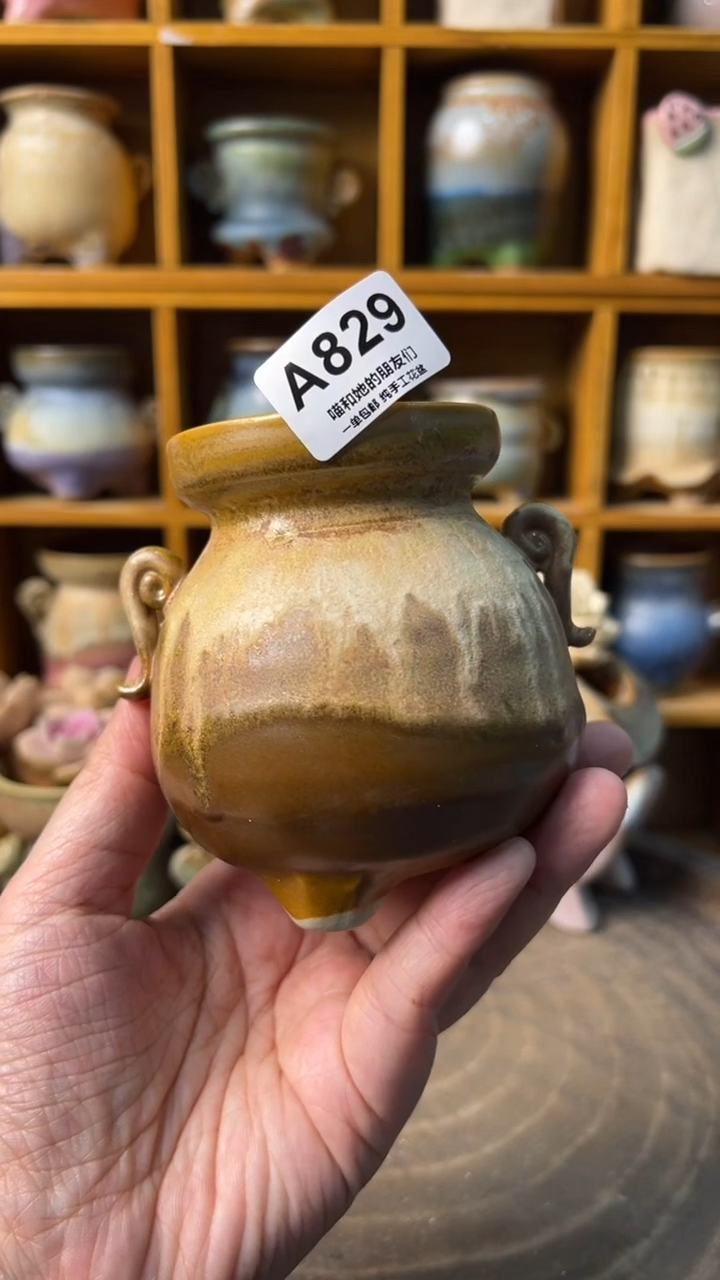 829 内口5.5【多肉花盆多肉盆】