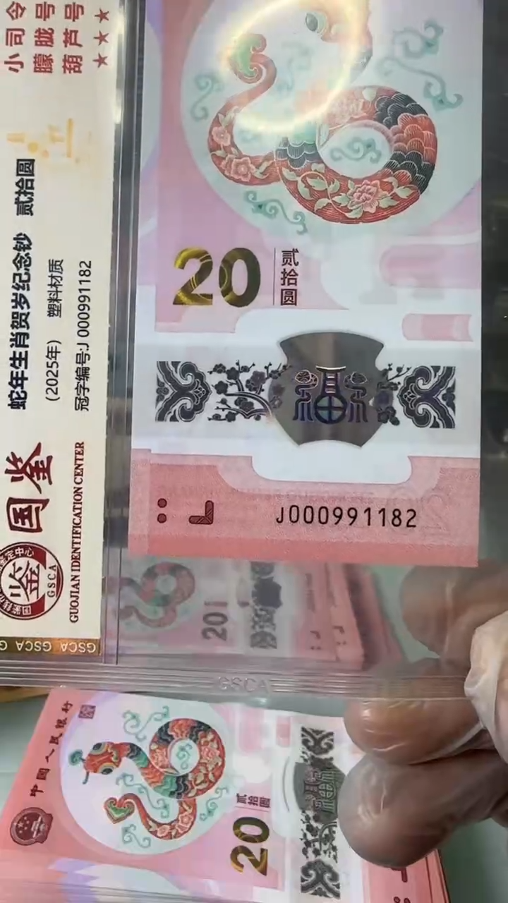 【闪购商品】塑料000991182-蛇钞单张！