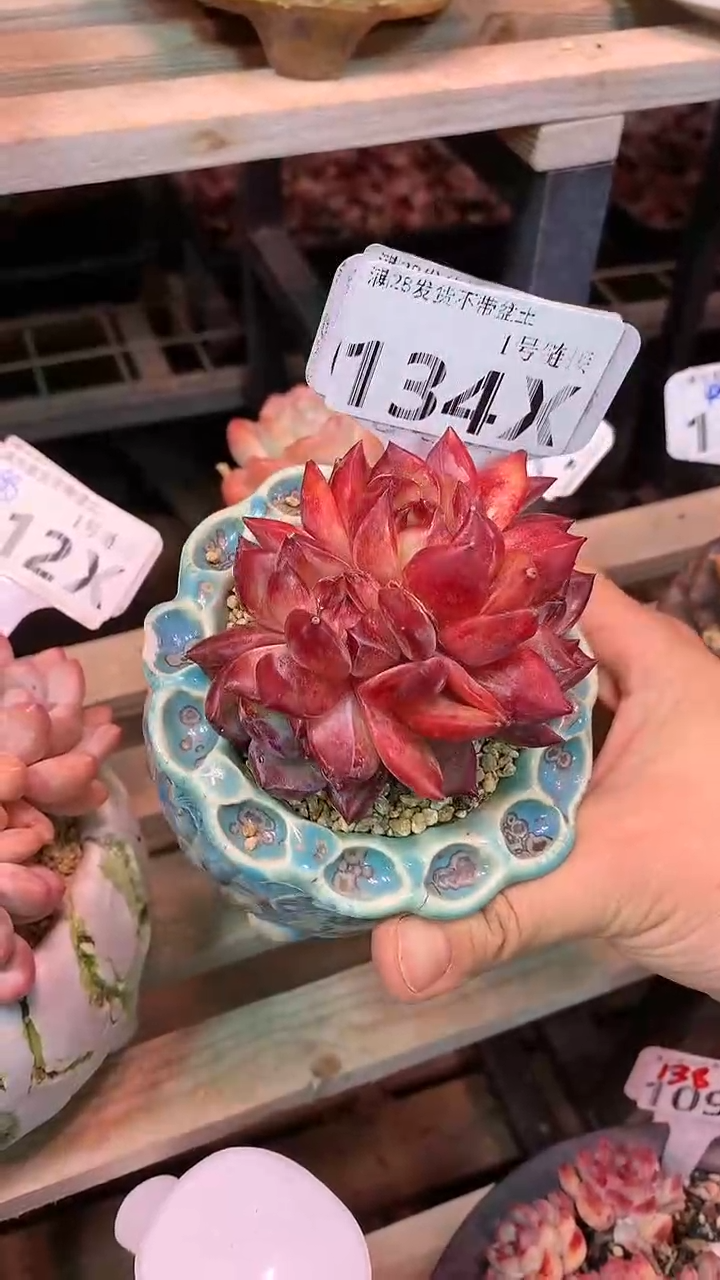 【闪购商品】134XXX