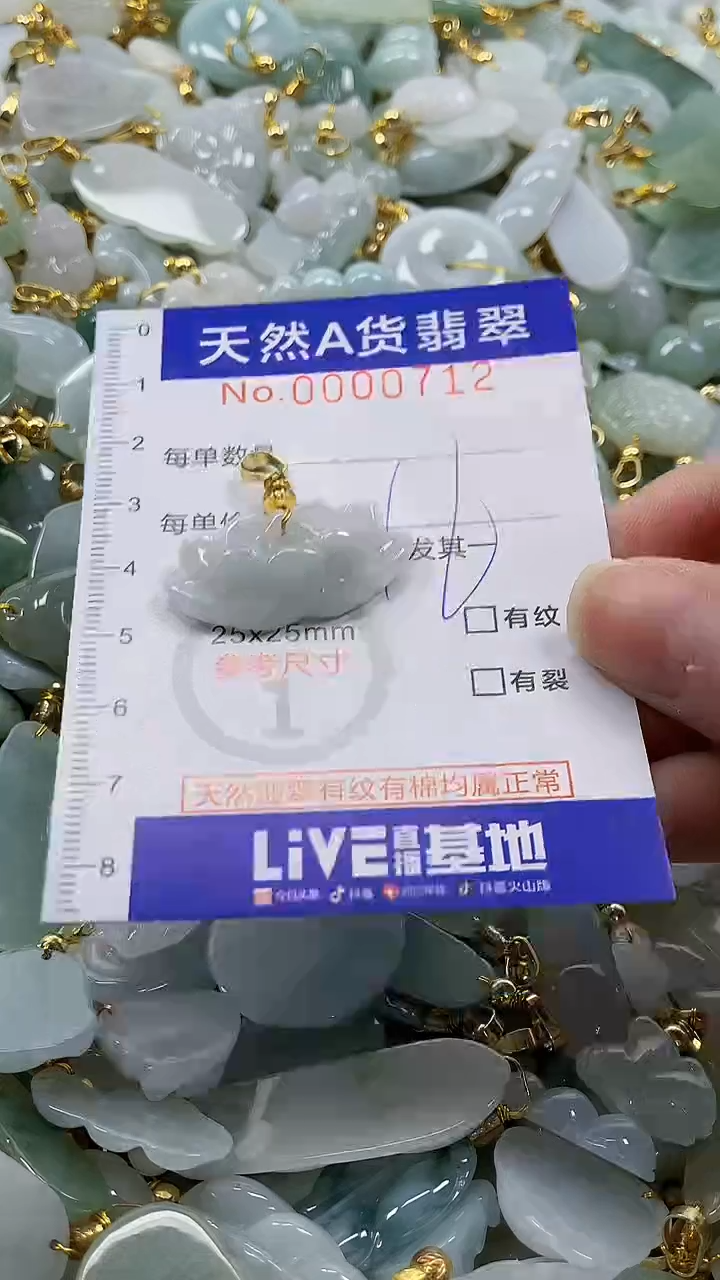 颈饰未镶嵌翡翠纯天然a货翡翠