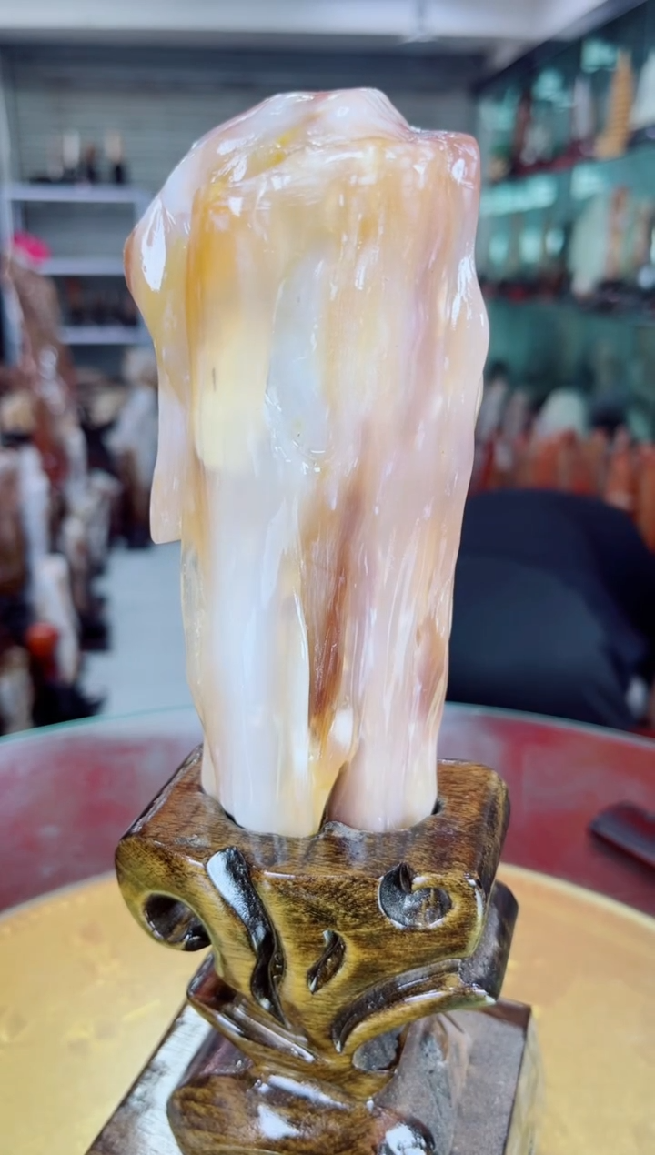 硅化玉珠宝奇石未镶嵌缅甸天然树化玉