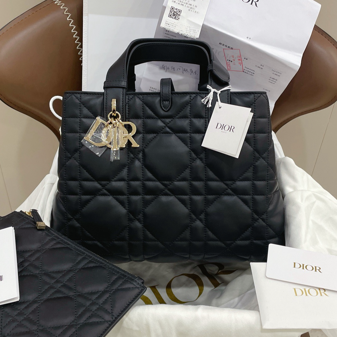 99新 DIOR/迪奥 土著中号 手提包 /7ZH39982