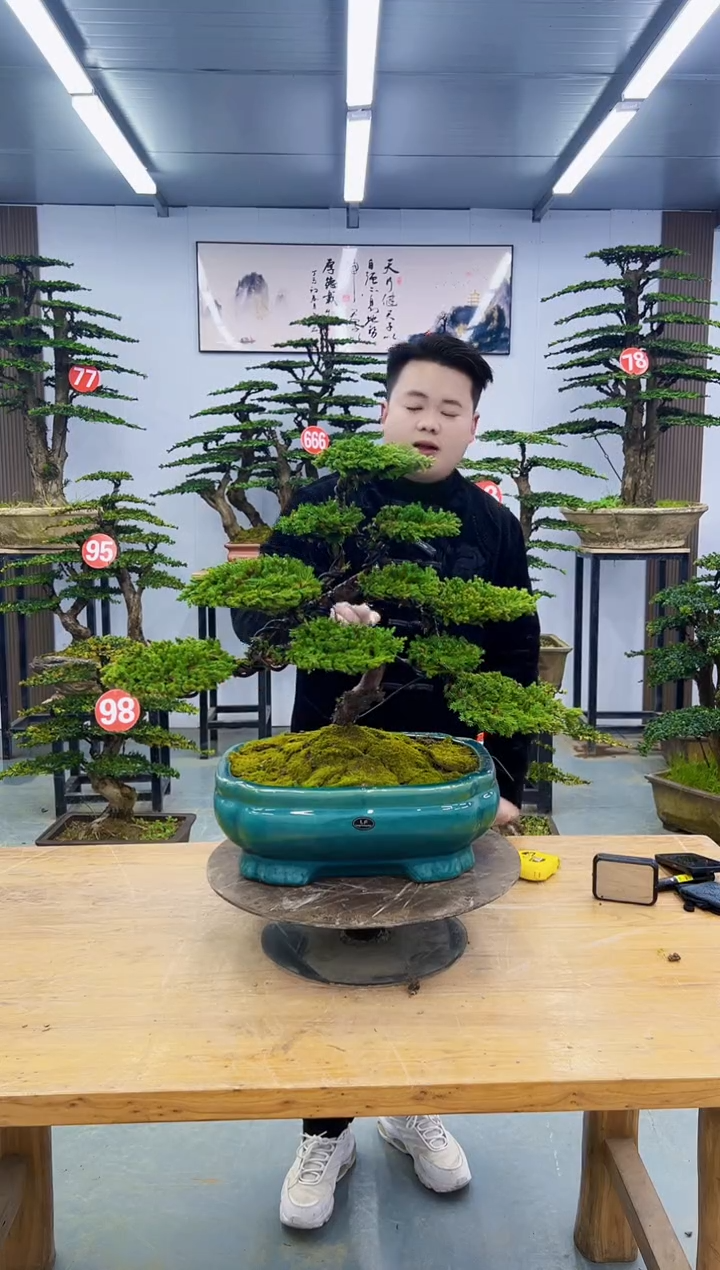 以实际为准00000000