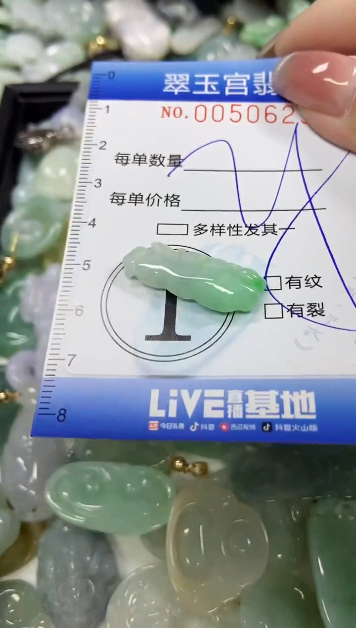 【闪购商品】翡翠颈饰未镶嵌闪购0050629