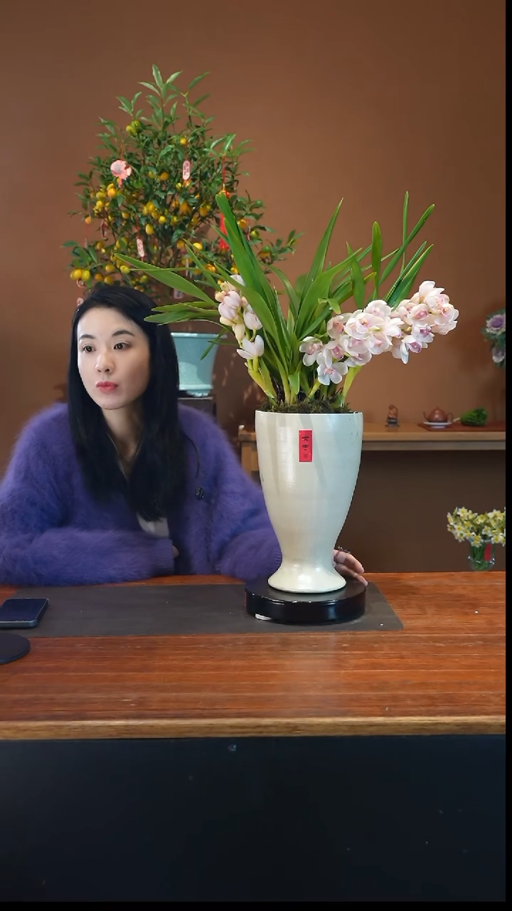 全部花朵小仙女景盆景盆景