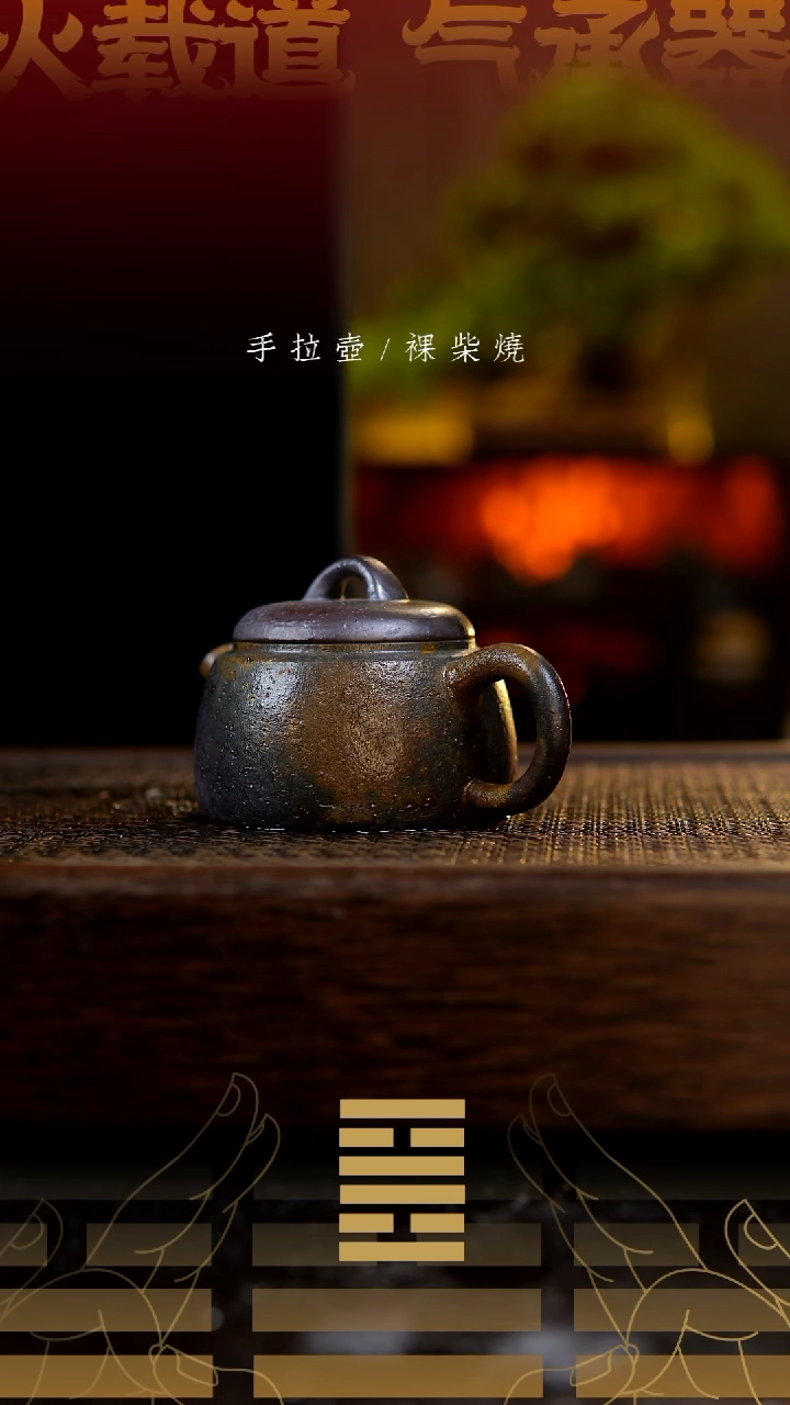 夸烧柴烧惊蛰壶452