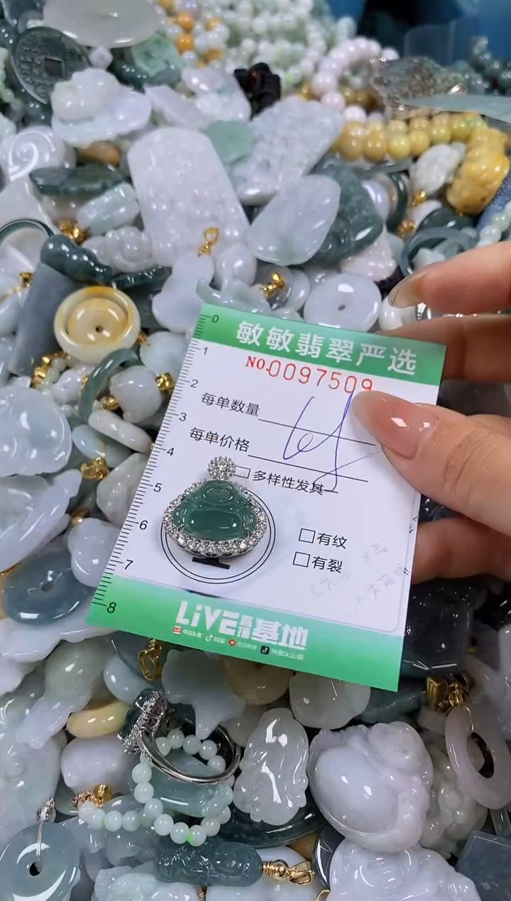 【闪购商品】翡翠颈饰未镶嵌闪购0097509