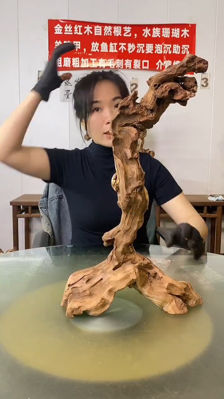 木帅*锅金丝红木 羊蹄甲