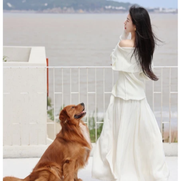 【清仓活动款】【韩剧女主】秋新款法式一字肩露肩翻领针织套装