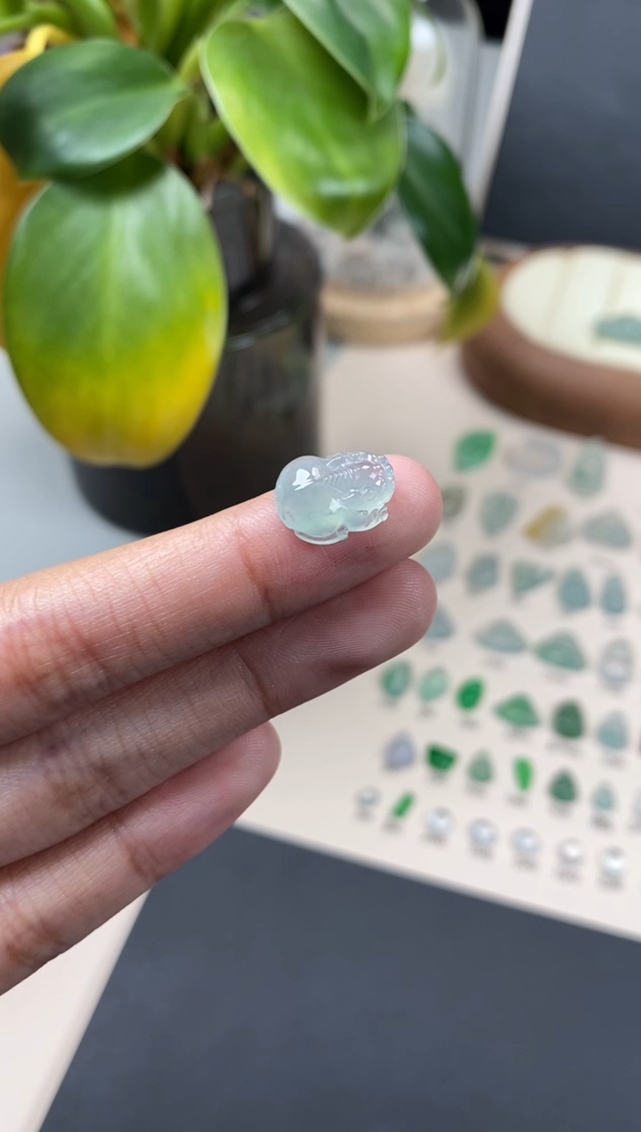 【闪购商品】翡翠颈饰未镶嵌翡翠冰种裸石