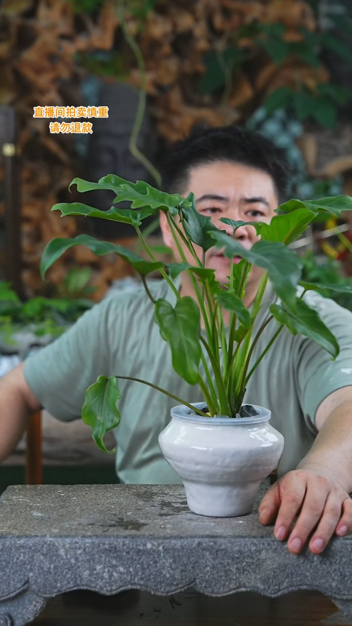 完全开放小天使瓷器瓶