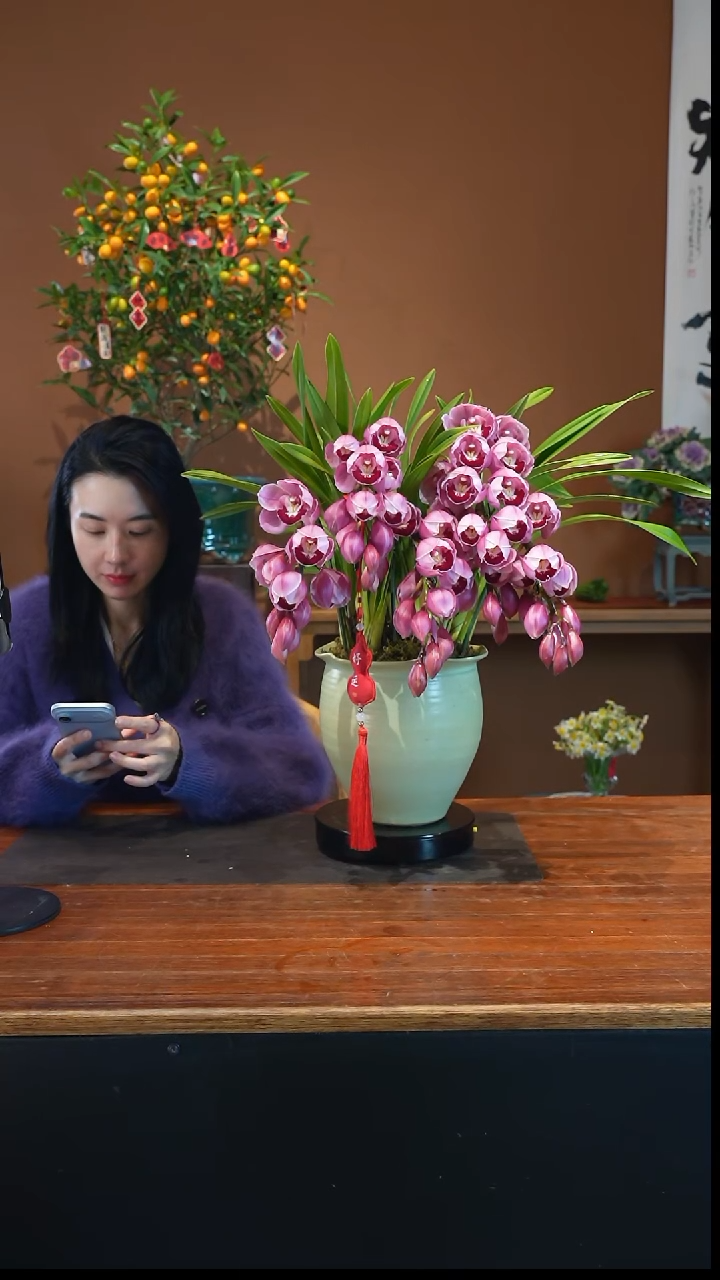 全部花朵红唇盆景盆景