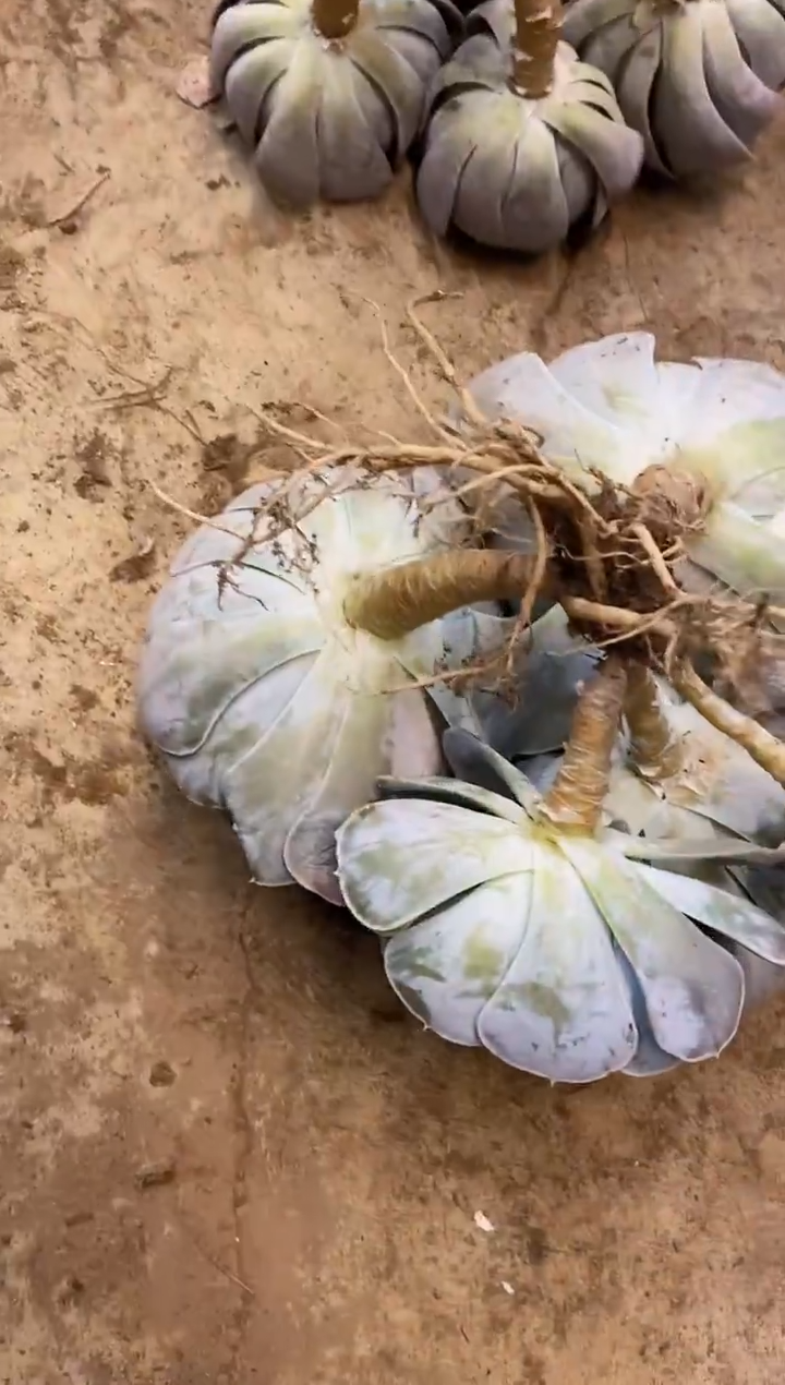 修**性          B13号￥20