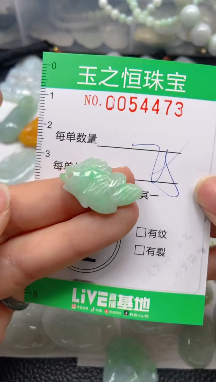 【闪购商品】翡翠未镶嵌颈饰闪购0054473